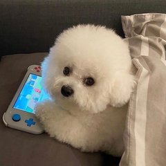 tokenpocket钱包简介