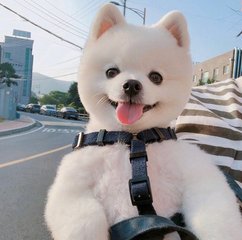 以太坊钱包挖矿