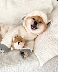 小狐狸钱包|(MetaMask)钱包苹果版